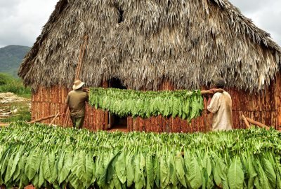 Cuban farm in Vinales