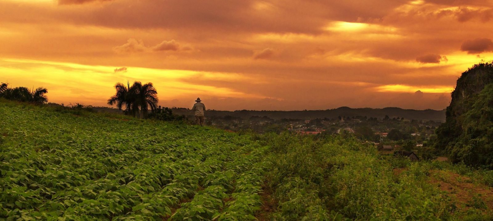 Sunset at Tobacco Farm in Vinales
